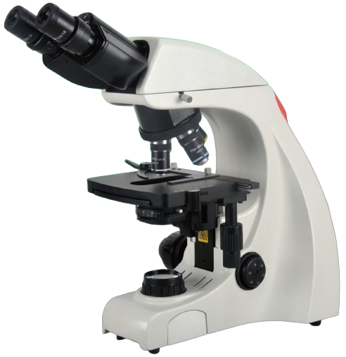 Biological Microscope