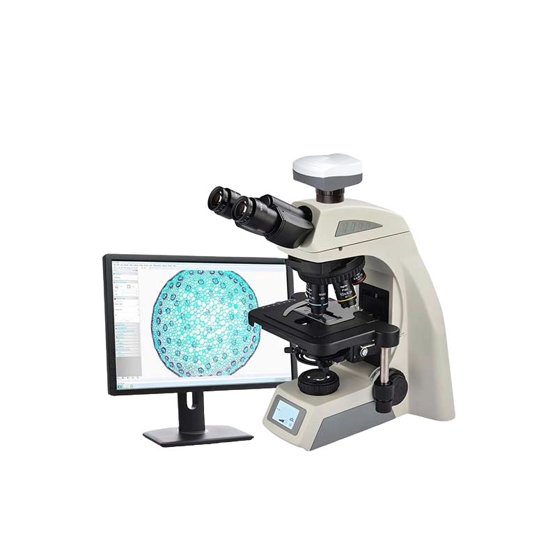 Biological Microscope
