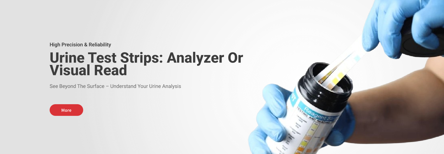 Analyzer