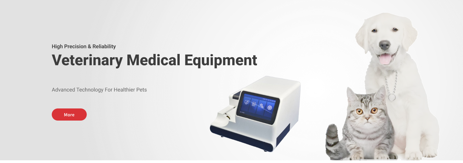 Analyzer