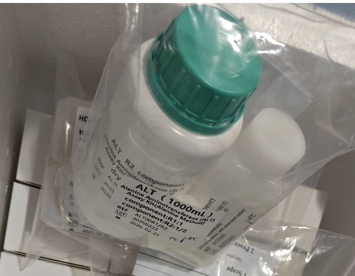 Alanine Aminotransferase (ALT) Assay Kit, 10× Concentrated (Kinetic/Alanine Method)